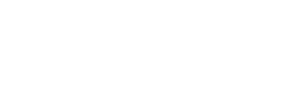 Foreningen Danske Revisorer logo
